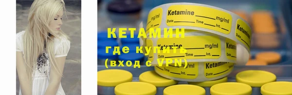 шишки Переславль-Залесский