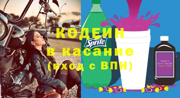 шишки Переславль-Залесский