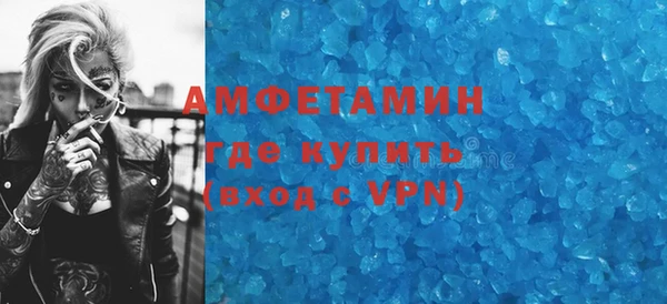 шишки Переславль-Залесский