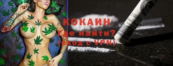 шишки Переславль-Залесский